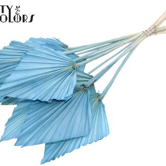 QC Gedroogde Gebleekte Palm Spear | Kleur: Lichtblauw | Palmbladeren in Speervorm | Lengte ± 55 centimeter | 10 takken per bos | Per bos