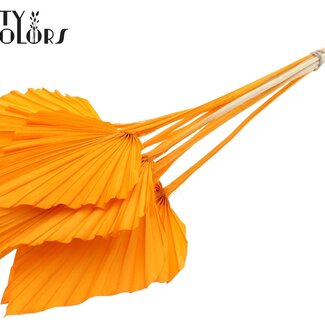 QC Dried Bleached Palm Spear | Colour: Orange | Spear-Shaped Palm Leaves | Length ± 55 centimetres | 10 stems per bunch | Per bunch