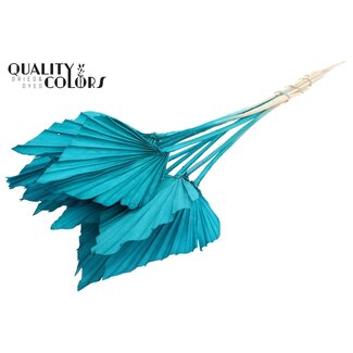 QC Dried Bleached Palm Spear | Colour: Turquoise | Spear-shaped Palm Leaves | Length ± 55 centimetres | 10 stems per bunch | Per bunch