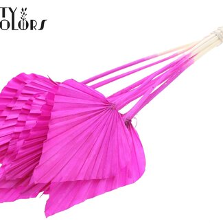 QC Palm Spear Séché Blanchi | Couleur : Lilas | Feuilles de palmier en forme de lance | Longueur ± 55 centimètres | 10 tiges par bouquet | Par bouquet