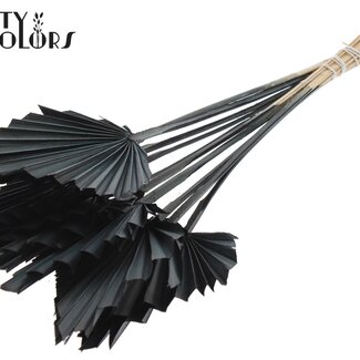 QC Gedroogde Palm Spear | Kleur: Zwart | Palmbladeren in Speervorm | Lengte ± 50 centimeter | 10 takken per bos | Per bos