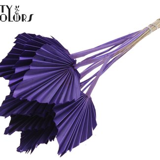 QC Gedroogde Palm Spear | Kleur: Paars | Palmbladeren in Speervorm | Lengte ± 50 centimeter | 10 takken per bos | Per bos