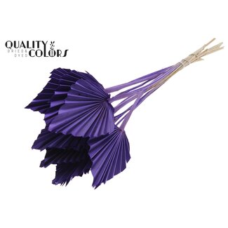 QC Getrockneter Palmenspeer | Farbe: Lila | Palmblätter in Speerform | Länge ± 50 Zentimeter | 10 Zweige pro Bund | Pro Bund