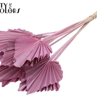 QC Gedroogde Palm Spear | Kleur: Frosted Roze | Palmbladeren in Speervorm | Lengte ± 50 centimeter | 10 takken per bos | Per bos