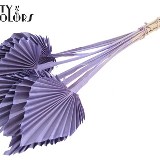 QC Gedroogde Palm Spear | Kleur: Frosted Milkapaars | Palmbladeren in Speervorm | Lengte ± 50 centimeter | 10 takken per bos | Per bos