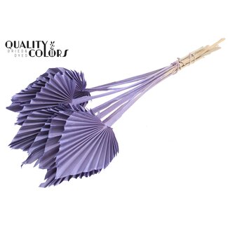 QC Dried Palm Spear | Colour: Frosted Milka Purple | Palm Leaves in Spear Shape | Length ± 50 centimetres | 10 stems per bunch | Per bunch