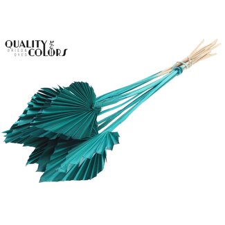 QC Dried Palm Spear | Colour: Turquoise | Spear-shaped Palm Leaves | Length ± 50 centimetres | 10 stems per bunch | Per bunch