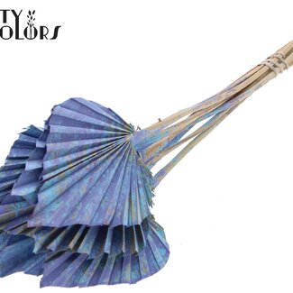 QC Dried Palm Spear | Colour: Multicoloured Light Blue | Palm Leaves in Spear Shape | Length ± 50 centimetres | 10 stems per bunch | Per bunch