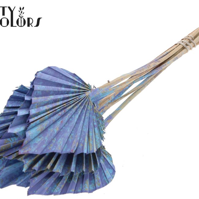 Palmier Séché en Lance | Couleur : Multicolore Bleu Clair | Feuilles de Palmier en Forme de Lance | Longueur ± 50 centimètres | 10 branches par bouquet | Par bouquet