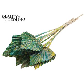 QC Dried Palm Spear | Colour: Multicoloured Green | Palm Leaves in Spear Shape | Length ± 50 centimetres | 10 stems per bunch | Per bunch