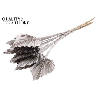 QC Getrocknete Palm Spear | Farbe: Champagnerfarben | Palmblätter in Speerform | Länge ± 50 Zentimeter | 10 Zweige pro Bund | Pro Bund