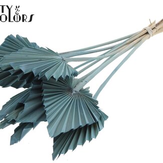 QC Gedroogde Palm Spear | Kleur: Frosted Lichtblauw | Palmbladeren in Speervorm | Lengte ± 50 centimeter | 10 takken per bos | Per bos