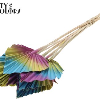 QC Gedroogde Palm Spear | Ibiza mix | Kleur: Gemengde Kleuren | Palmbladeren in Speervorm | Lengte ± 50 centimeter | 10 takken per bos | Per bos