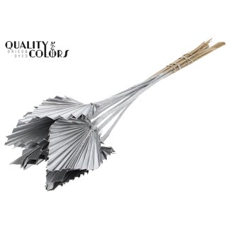 QC Dried Palm Spear | Colour: Silver | Palm Leaves in Spear Shape | Length ± 50 centimetres | 10 stems per bunch | Per bunch