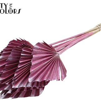 QC Palm Spear Séché | Couleur : Rose Métallique | Feuilles de Palmier en Forme de Lance | Longueur ± 50 centimètres | 10 tiges par bouquet | Par bouquet