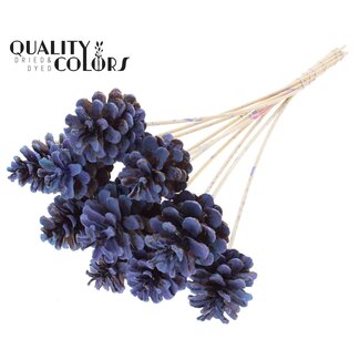 QC Dennenappel op stok | Kleur: Meerkleurig Lichtblauw | Diameter 5 - 7 centimeter | Lengte ± 50 centimeter | 10 bijstekers per bos
