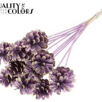 QC Pine cone on stick | Colour: Metallic Pink and Gold Tipped | Diameter 5 - 7 centimetres | Length ± 50 centimetres | 10 picks per bunch