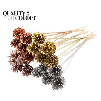 QC Dennenappel op stok "Chic Mix" | Kleur: Metallic Wit | Diameter 5 - 7 centimeter | Lengte ± 50 centimeter | 10 bijstekers per bos