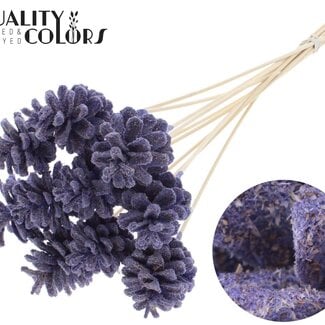 QC Pomme de pin sur tige | Couleur : Sawdust Milkapaars | Diamètre 5 - 7 centimètres | Longueur ± 50 centimètres | 10 piques par bouquet