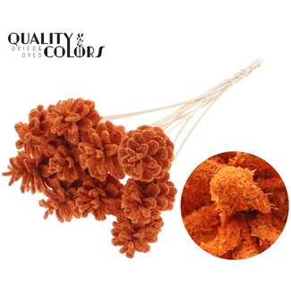QC Pine cone on stick | Colour: Sawdust Orange | Diameter 5 - 7 centimetres | Length ± 50 centimetres | 10 picks per bunch