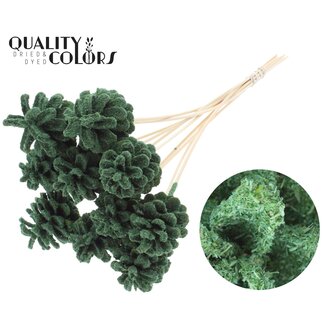 QC Dennenappel op stok | Kleur: Sawdust Groen | Diameter 5 - 7 centimeter | Lengte ± 50 centimeter | 10 bijstekers per bos