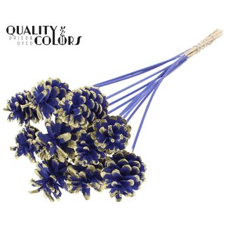 QC Pine cone on stick | Colour: Milka purple and Gold-tipped | Diameter 5 - 7 centimetres | Length ± 50 centimetres | 10 inserts per bunch