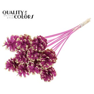 QC Pinecone on stick | Colour: Cherry-coloured and Gold-coloured Pointed | Diameter 5 - 7 centimeter | Length ± 50 centimeter | 10 picks per bunch