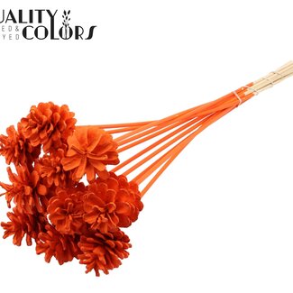 QC Pine cone on stick | Colour: Orange | Diameter 5 - 7 centimetres | Length ± 50 centimetres | 10 picks per bunch