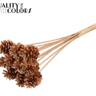 QC Dennenappel op stok | Kleur: Antiek Goudkleurig met Glitter | Diameter 5 - 7 centimeter | Lengte ± 50 centimeter | 10 bijstekers per bos