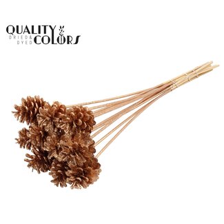 QC Pinecone on a stick | Colour: Antique Gold with Glitter | Diameter 5 - 7 centimetres | Length ± 50 centimetres | 10 picks per bunch
