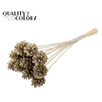 QC Dennenappel op stok | Kleur: Platinakleurig met Glitter | Diameter 5 - 7 centimeter | Lengte ± 50 centimeter | 10 bijstekers per bos