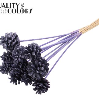 QC Dennenappel op stok | Kleur: Frosted Paars | Diameter 5 - 7 centimeter | Lengte ± 50 centimeter | 10 bijstekers per bos