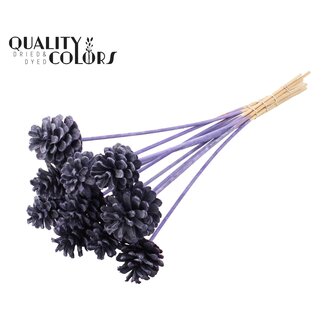 QC Pine cone on stick | Colour: Frosted Purple | Diameter 5 - 7 centimetres | Length ± 50 centimetres | 10 picks per bunch