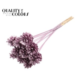 QC Pine cone on stick | Colour: Metallic Pink | Diameter 5 - 7 centimetres | Length ± 50 centimetres | 10 picks per bunch