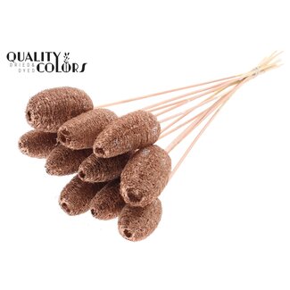 QC Mini Luffa Schwamm auf Stiel | Farbe: Kupferfarben | Loofah-Stecker | Länge ± 50 Zentimeter | 10 Stecker pro Bund