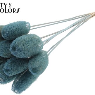 QC Mini Loofah Sponge on stick | Colour: Light Blue | Loofah Plant Stake | Length ± 50 centimetres | 10 stakes per bunch