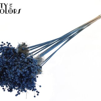 QC Mini Knoopsbloemen Boeketje op stok | Kleur: Blauw | Mini Button Bijsteker | Lengte ± 50 centimeter | 10 bijstekers per bos