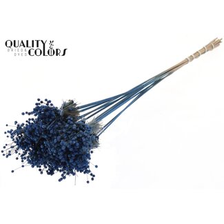 QC Mini Knoopsbloemen Boeketje op stok | Kleur: Blauw | Mini Button Bijsteker | Lengte ± 50 centimeter | 10 bijstekers per bos