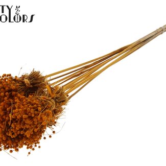 QC Mini Bouquet de Fleurs de Boutons sur Tige | Couleur : Orange | Mini Bouton Décoratif | Longueur ± 50 centimètres | 10 décorations par bouquet