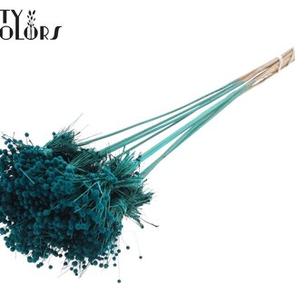 QC Mini Knoopsbloemen Boeketje op stok | Kleur: Turquoise | Mini Button Bijsteker | Lengte ± 50 centimeter | 10 bijstekers per bos