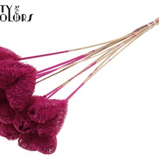 QC Éponge de cœur en luffa sur bâton | Couleur : Lilas | Pique en loofah | Longueur ± 50 centimètres | 10 piques par bouquet