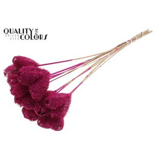QC Luffa Heart Sponge on stick | Colour: Lilac | Loofah Insert Stick | Length ± 50 centimetres | 10 insert sticks per bunch