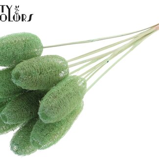 QC Mini Loofah Sponge on Stick | Colour: Mint Green | Loofah Stick | Length ± 50 centimetres | 10 sticks per bunch
