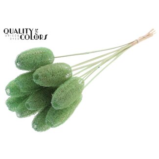 QC Mini Loofah Sponge on Stick | Colour: Mint Green | Loofah Stick | Length ± 50 centimetres | 10 sticks per bunch