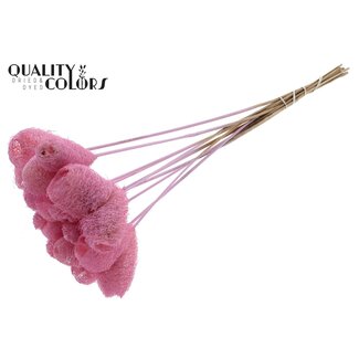 QC Luffa Heart Sponge on stick | Colour: Light Pink | Loofah Stick | Length ± 50 centimetres | 10 sticks per bunch