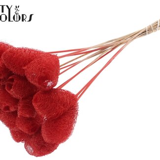 QC Luffa Heart Sponge on stick | Colour: Red | Loofah Stick | Length ± 50 centimetres | 10 sticks per bunch