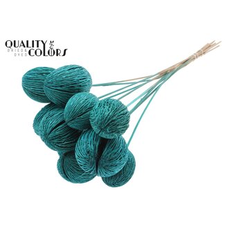 QC Bleached Mintolla Seed Box on Stick | Colour: Turquoise | Pong Pong Mintolla Insert Dry Decoration | Length ± 50 centimetres | 10 inserts per bunch
