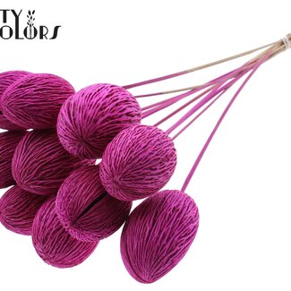 QC Boîte de graines de Mintolla blanchie sur tige | Couleur : Lilas | Décoration sèche Pong Pong Mintolla à piquer | Longueur ± 50 centimètres | 10 piques par bouquet