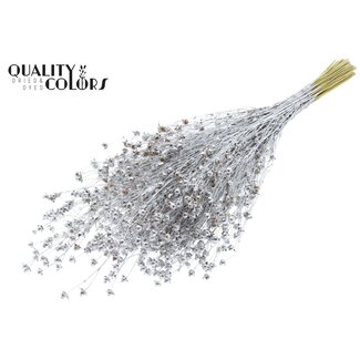 QC Gedroogd Lino Vlas | Kleur: Zilverkleurig | Linum Droogbloemen | Lengte ± 50 centimeter | Gewicht 150 gram | Per bos