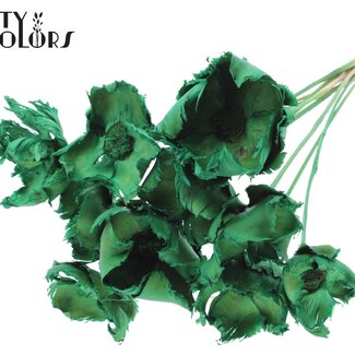 QC Dried Bleached Palm Cup on stem | Colour: Light Green | Length ± 50 centimetres | 10 stems per bunch